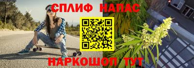 прущие крисы Малгобек