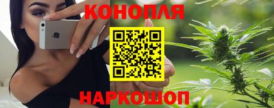 прущие крисы Малгобек