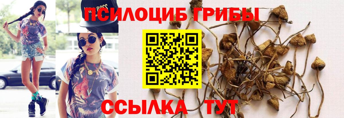 Галлюциногенные грибы прущие грибы Ханты-Мансийск